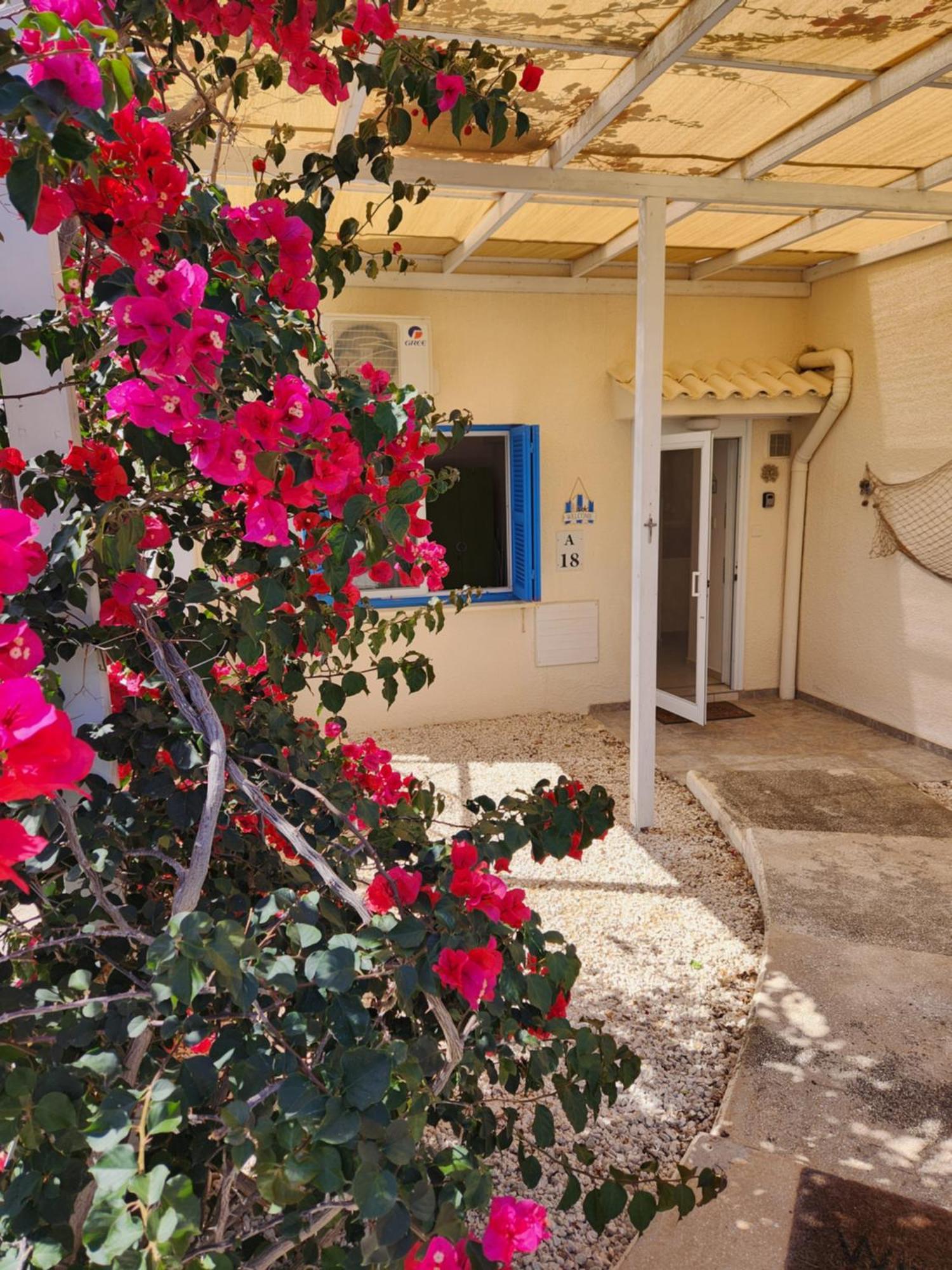 Ocean Pearl Apartment Peyia Exterior foto