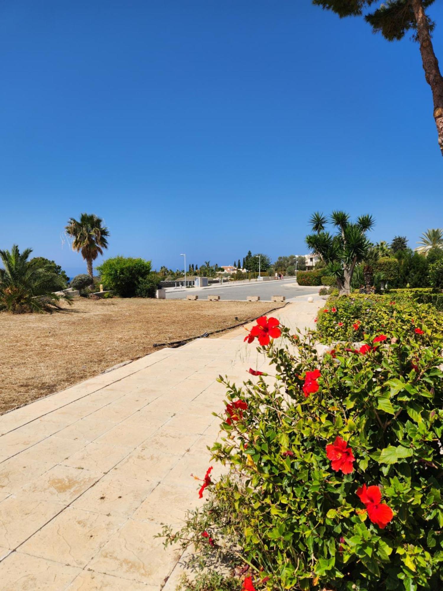 Ocean Pearl Apartment Peyia Exterior foto